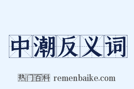 中潮反义词是什么意思的图片
